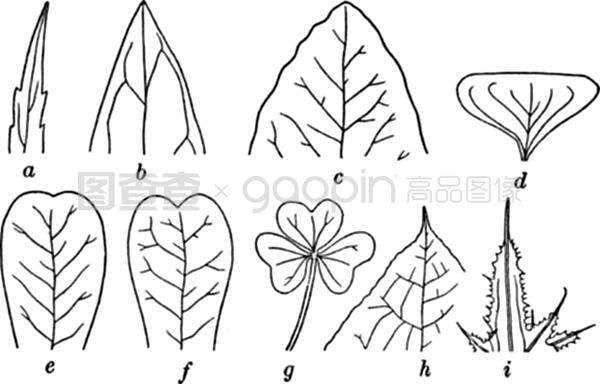 jm火影忍者本子