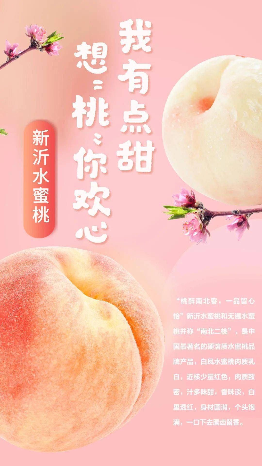 小蓝视频破解版v460的功能介绍 极有可能导致账号被封禁