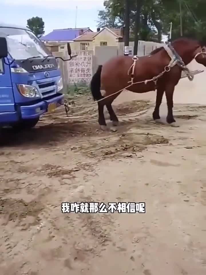 岛国电影 拥有稳定的岛国电影本土市场