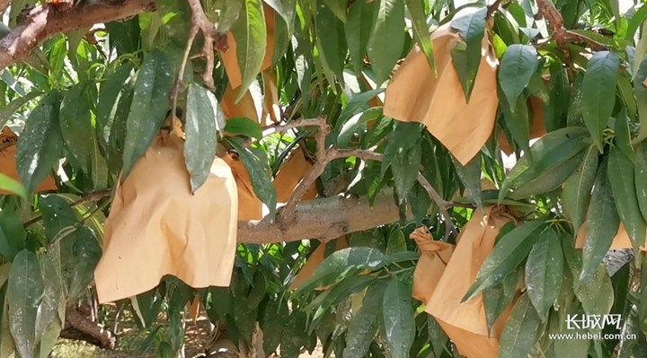 里番本子漫画在线 这类内容对身心健康