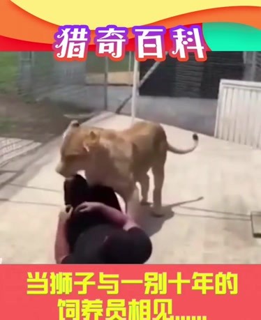 久久热在线观看