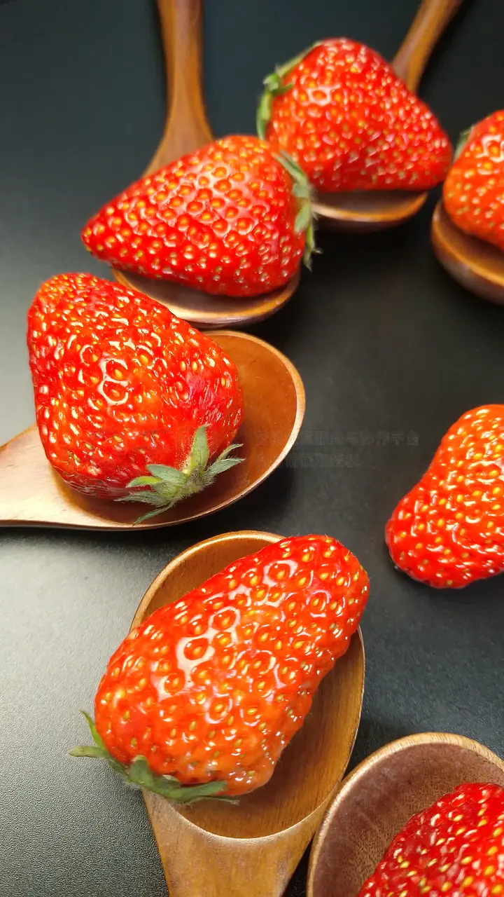 最好看的日本电影肉肉 日本电影擅长刻画人性