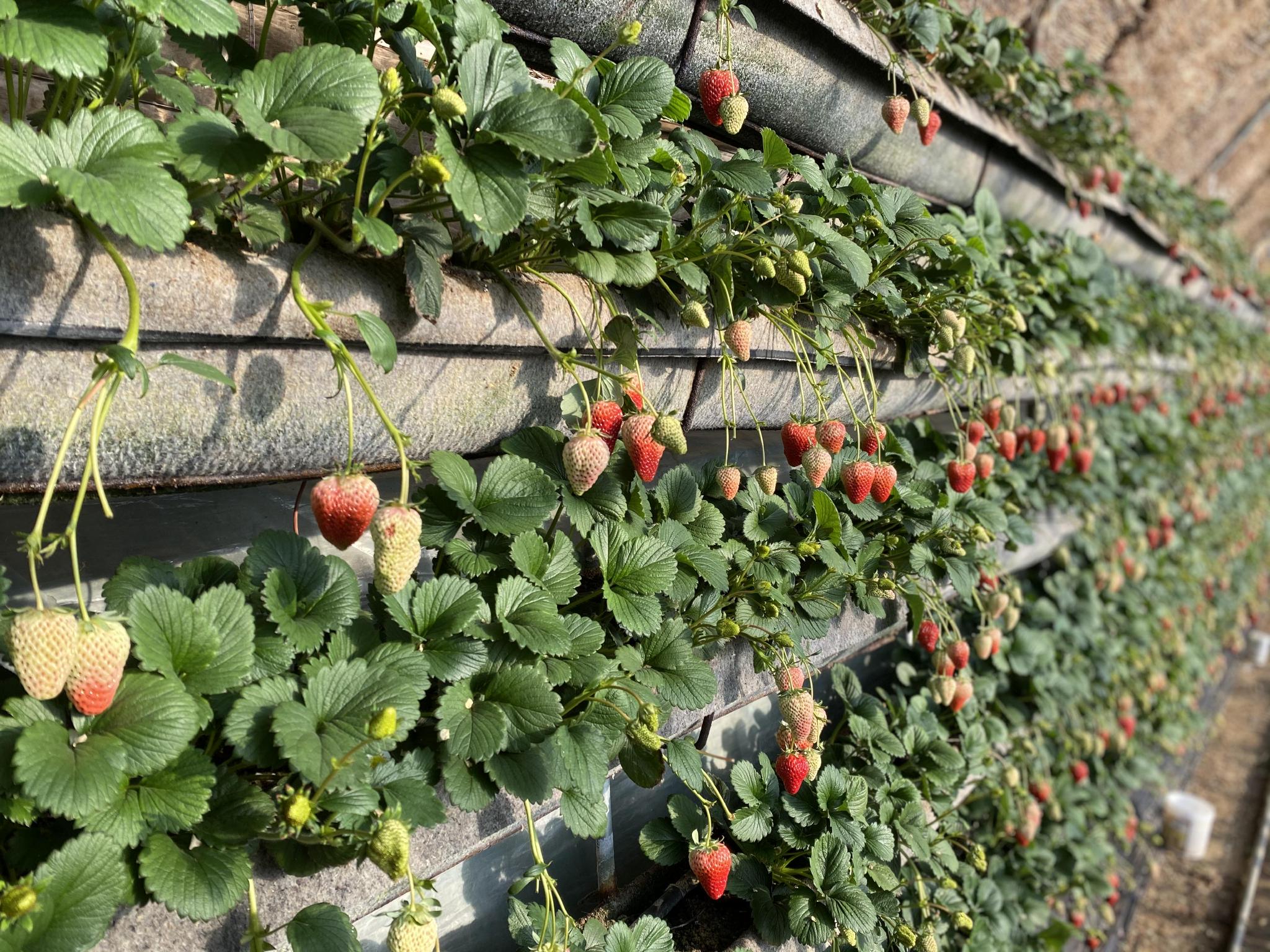 h同人动漫在线看