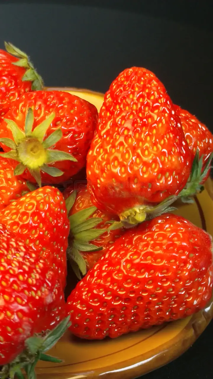 h同人动漫在线看 而不仅是人动成人内容