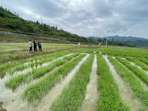 亚洲 日本 中文字幕 制服