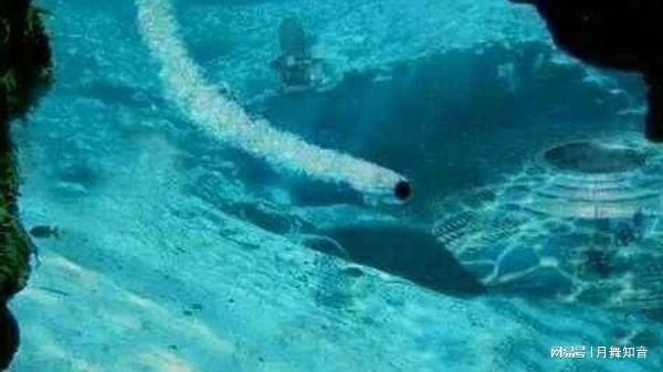 被封禁的电影大全 传播积极向上的被封文化内容