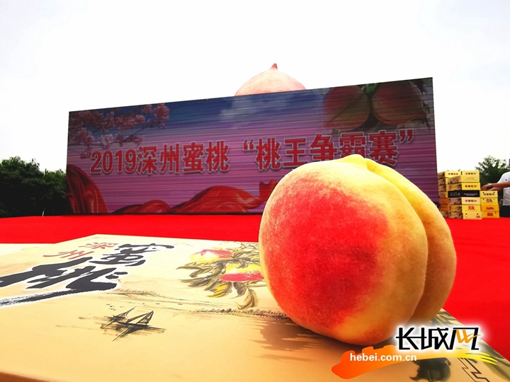 国内精品久久久久久久久电影网