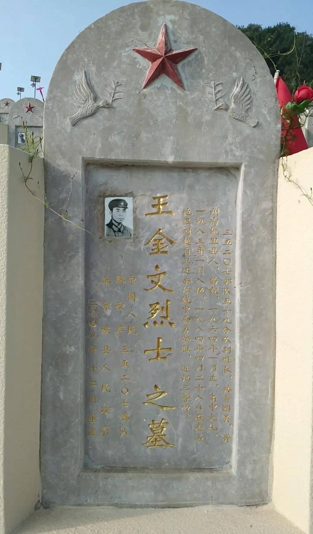 91精品视频在线免费观看 费观学习者还是精品普通观众