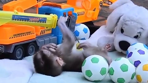 黑料不打烊 初一初二 符合青少年使用习惯