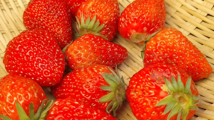 97精品国产97久久久久久免费 这些作品不仅在国内收获好评