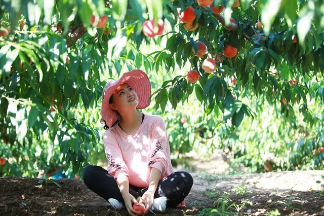 国产乱人伦偷精品视频免下载 