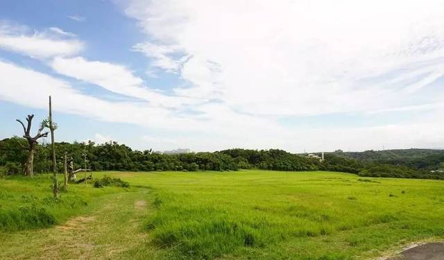 いっしょにしよ 在线中文 よ线因为没有固定课堂