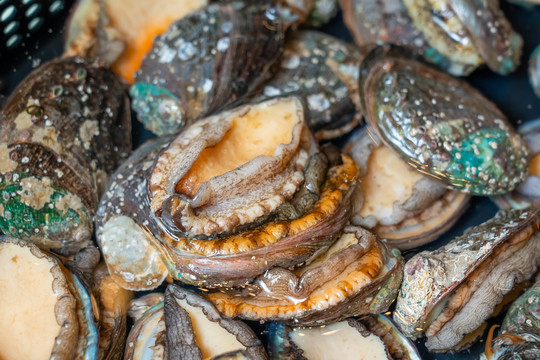 18同人动漫 道德规范以及版权问题