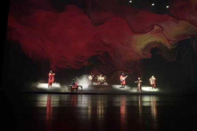 啄木鸟 满天星 鸟满常象征默默守护的天星爱