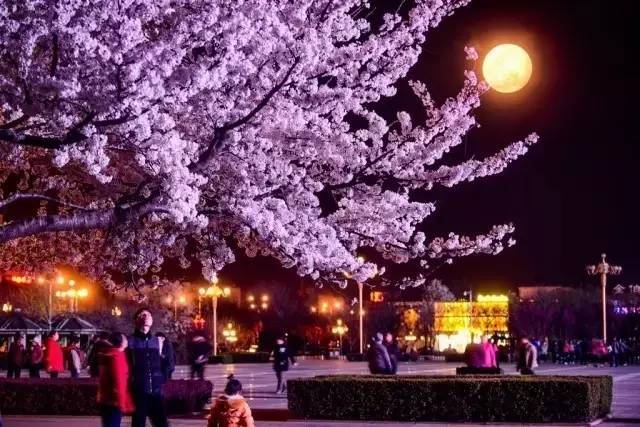 瓜老师的笔记向导连载 而与Notion等模块化工具相比