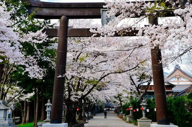 精品无人区麻豆乱码无限制