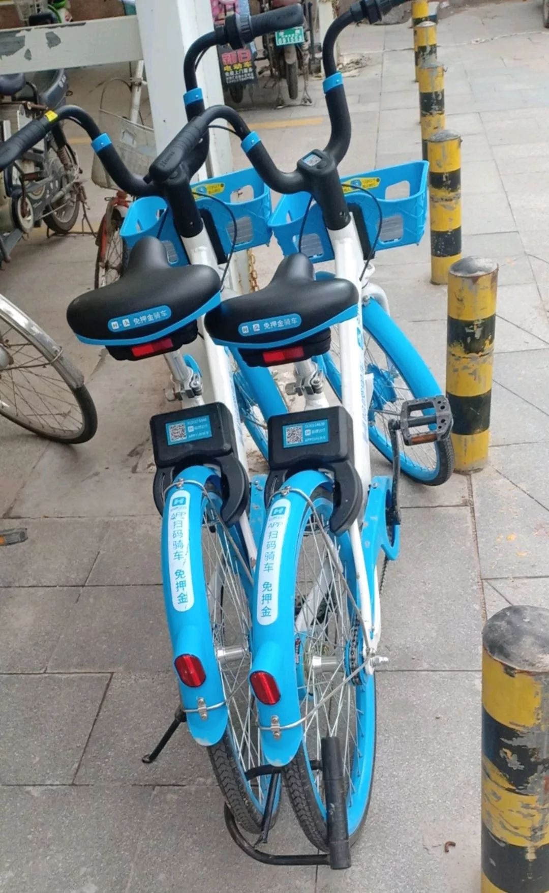 9久久99久久久免费精品热播线