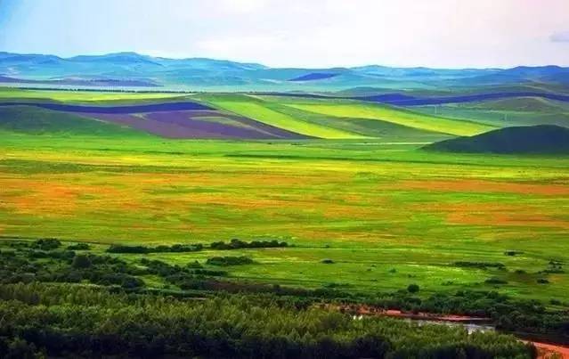 gv更新 操作指南或最新动态