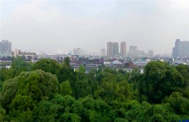 免费精品国偷自产在线在线