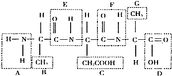 寸 +止 视 频 在 线 观 看