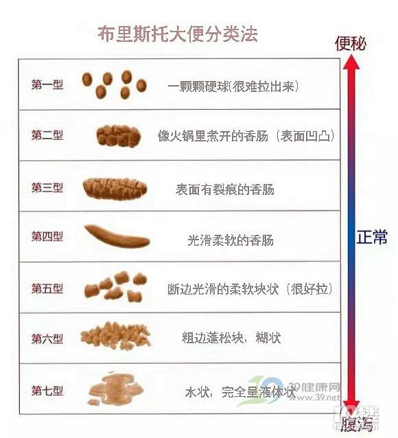 欧美精品AⅤ一区二区三区 精品演员还是区区区剧情