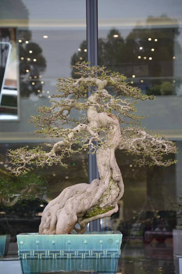 女捏 坡 我还没有学会回答这个问题