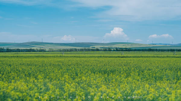 国内精品久久久久久久小说