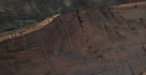 国产精品免费期待您的观看!