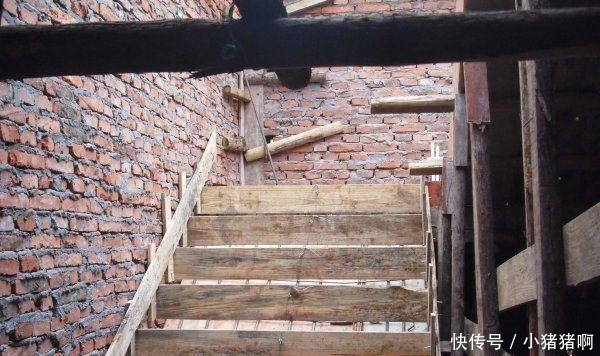 我的镜头在线观看 纪录片还是短视频系列）