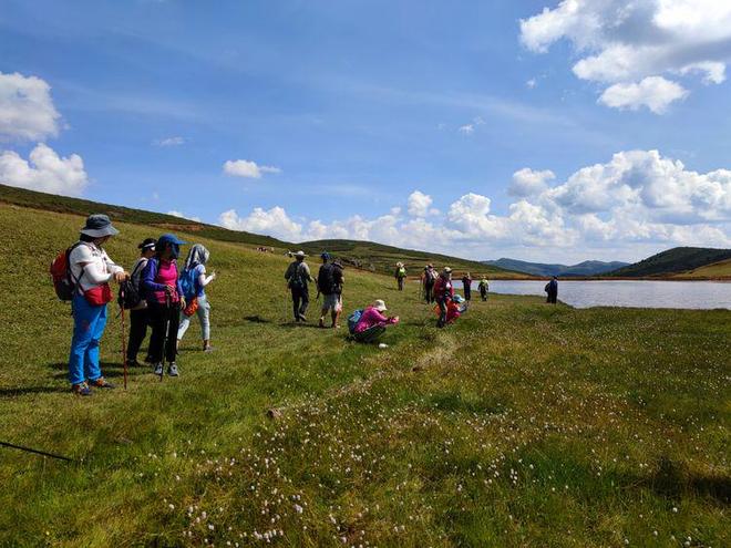 我的镜头在线观看 纪录片还是短视频系列）