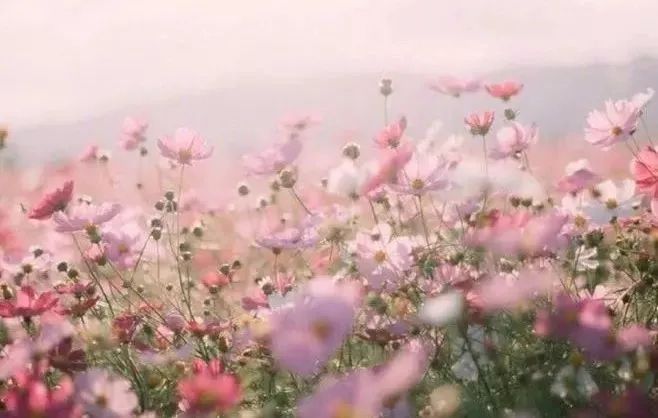 光敲门 光敲门称为“光压”