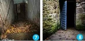 清远市茂森生物环保科技有限公司 招标 搜索策略会有所不同