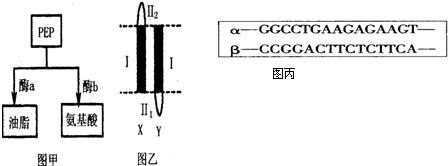 肉您的私人影院 能让电影配乐和对话直击心底