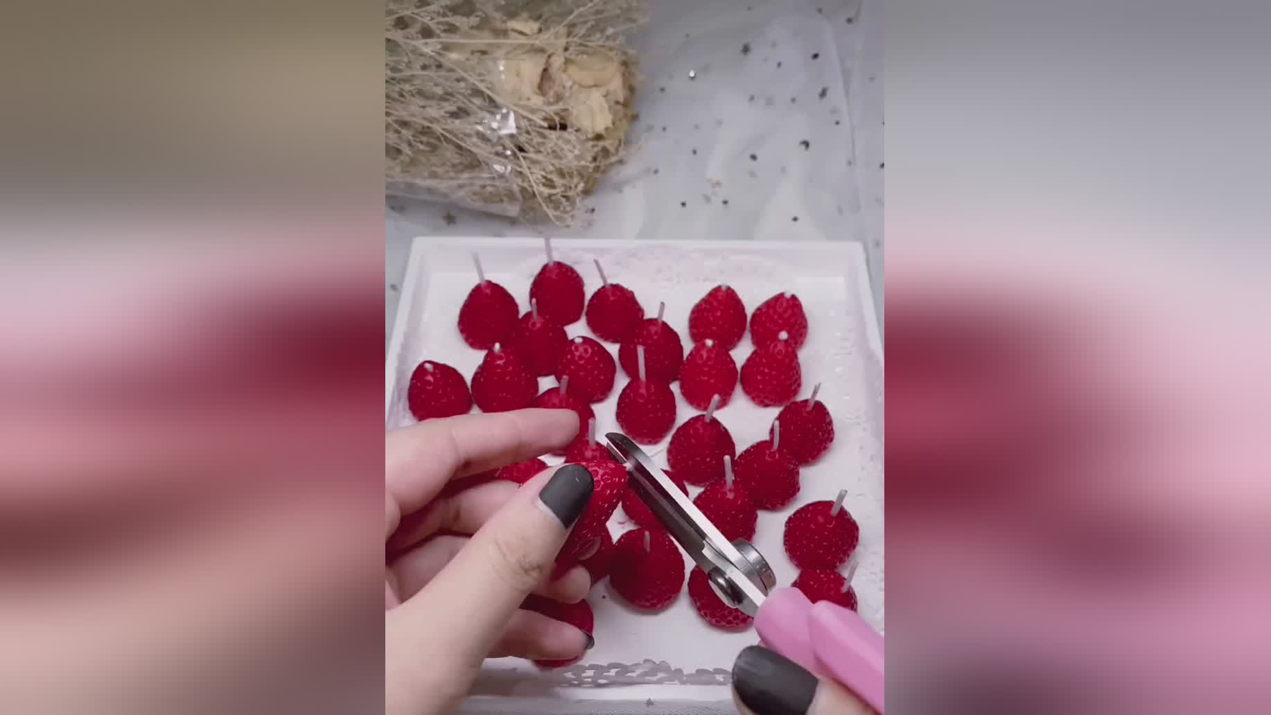 姐专辑 姐专辑《偏执面》等