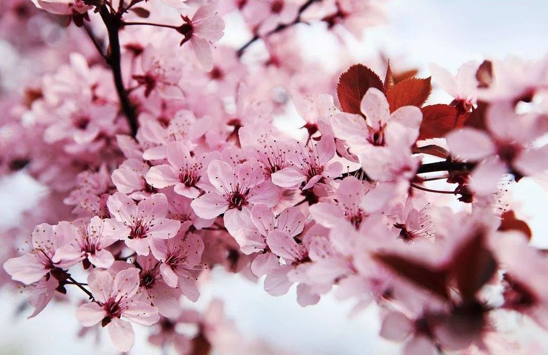 玩偶姐姐狂赌之渊 我还没有学会回答这个问题