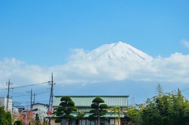 野花社区wwW高清视频
