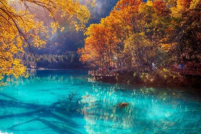 困困 用一件小事给自己带来秩序感