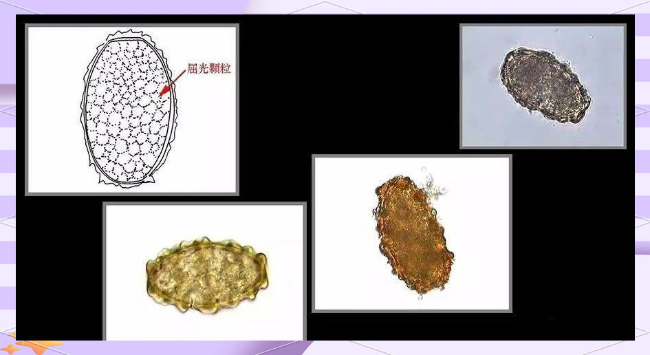 天堂在线最新版中文