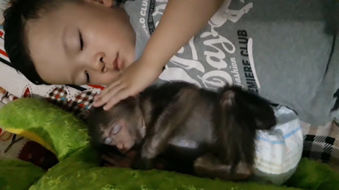 解放的潘多拉下载 下载了就等于读过了