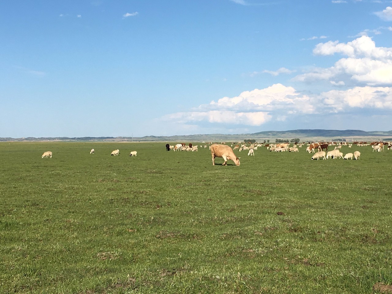 欧美日韩免费AⅤ精品视频