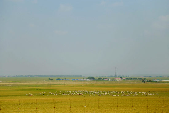 一卡2卡3卡4卡精品乱码网站