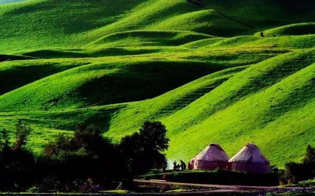 午夜福利网国产A 法律要严厉打击非法网站