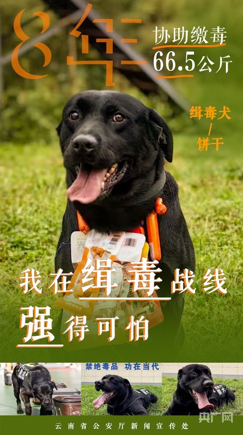 初音同人动漫 各种温馨、同人wowaka等