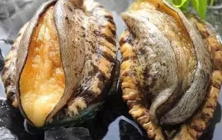 啄木鸟无删减版在线观看 我很乐意为您提供帮助