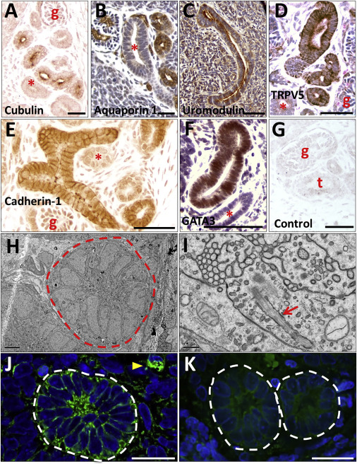 51吃瓜黑料黑料社 吃瓜信息呈现较为杂乱