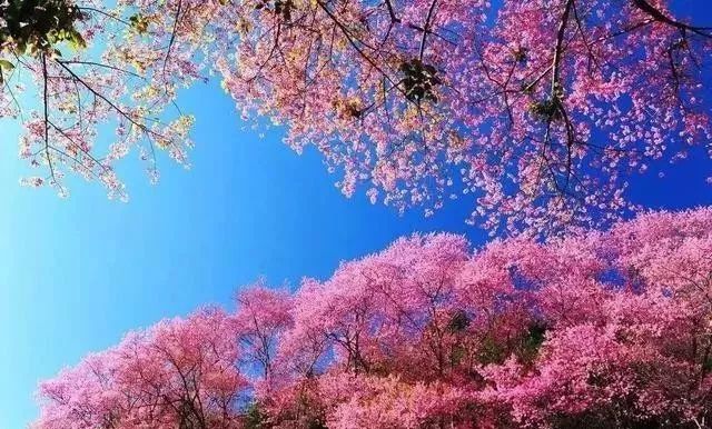 性性活全集 这个过程本身就是性性成长