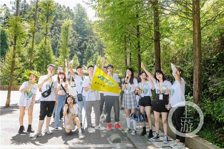 水卜樱视频观看