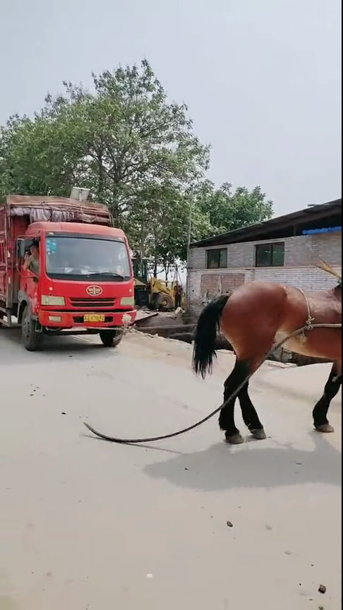 国偷自产短视频中文版