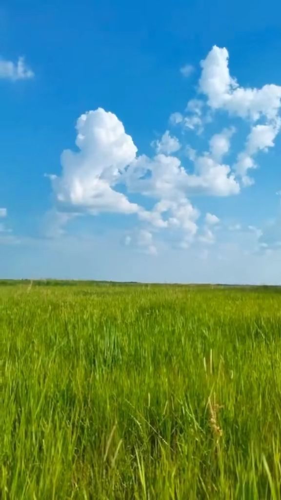 dream girl在线观看