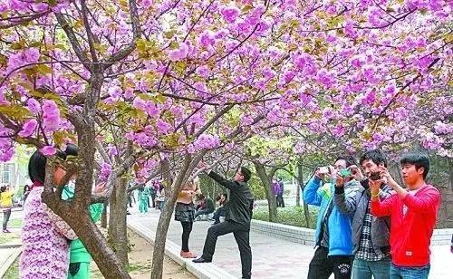 大吊延长 勃起功能障碍、大吊延长对此